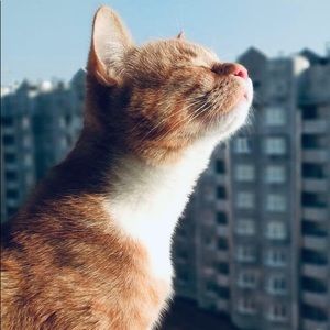 Meet your Posher, Amira